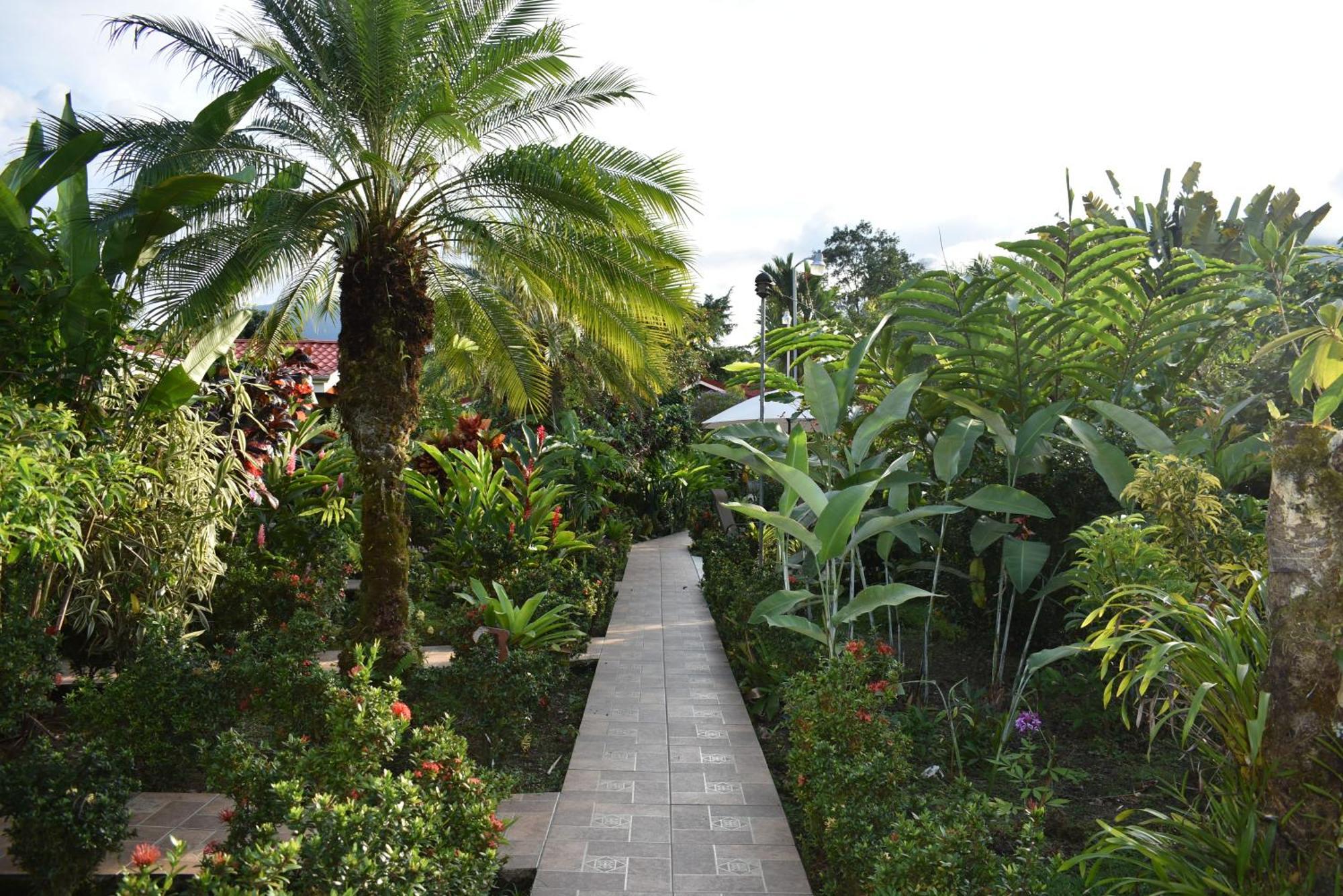 Hotel Roca Negra Del Arenal La Fortuna Стая снимка