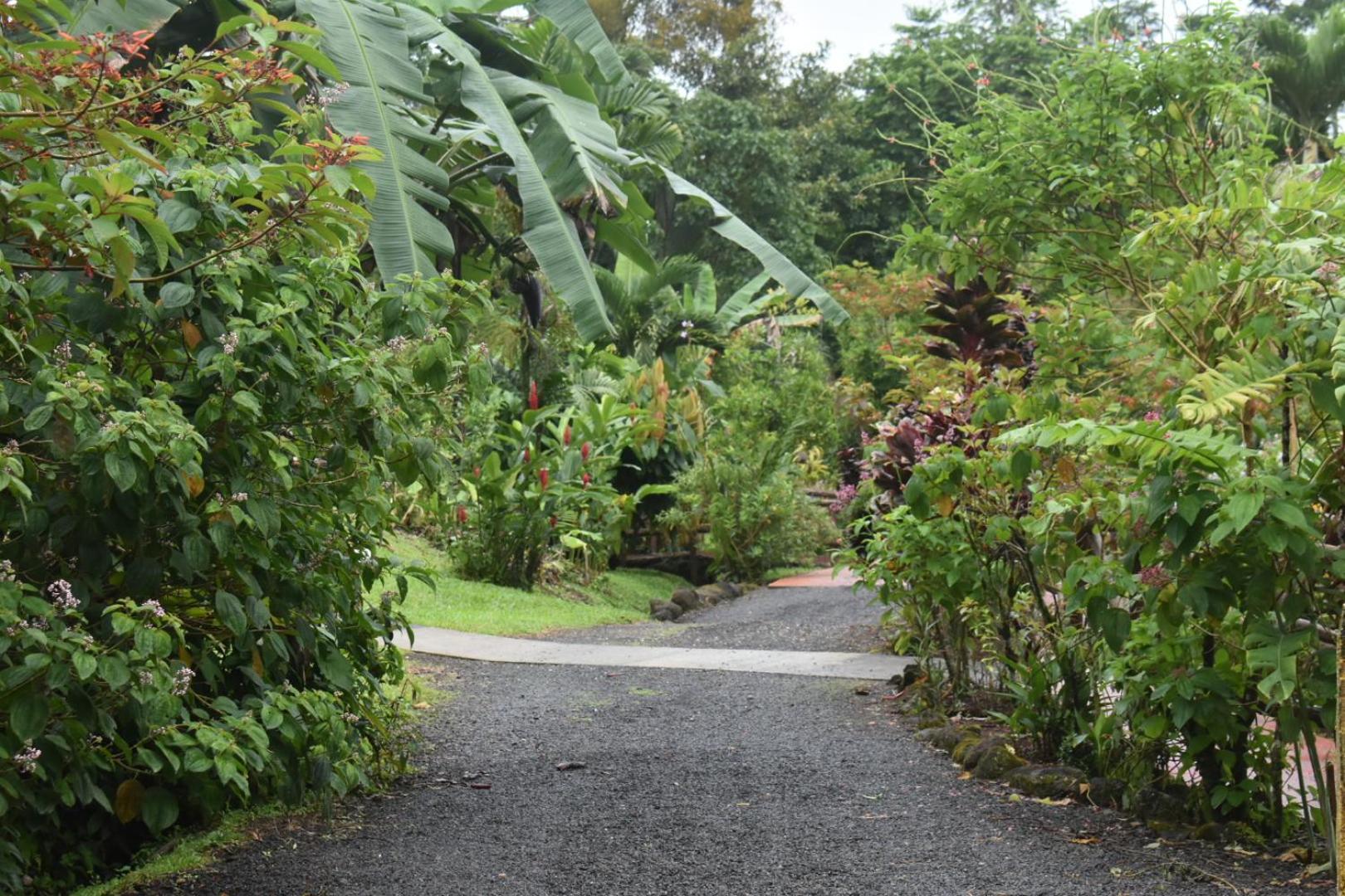Hotel Roca Negra Del Arenal La Fortuna Екстериор снимка