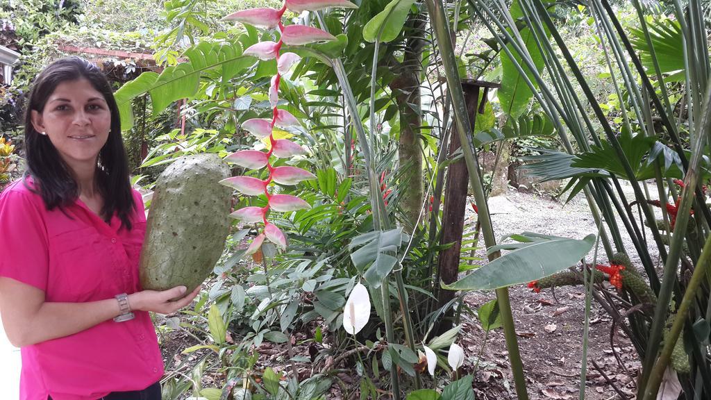 Hotel Roca Negra Del Arenal La Fortuna Екстериор снимка