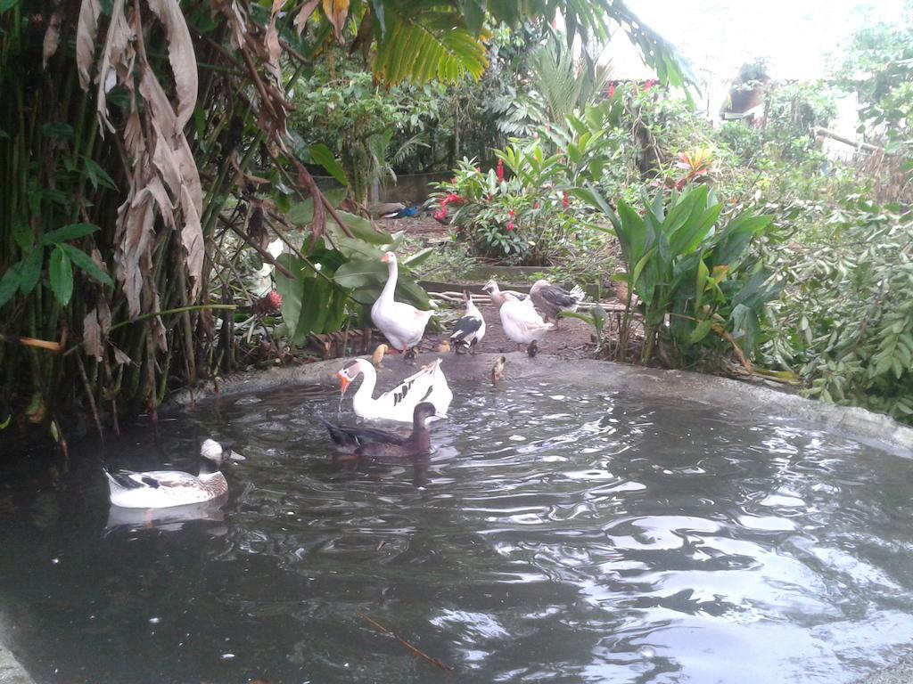 Hotel Roca Negra Del Arenal La Fortuna Екстериор снимка