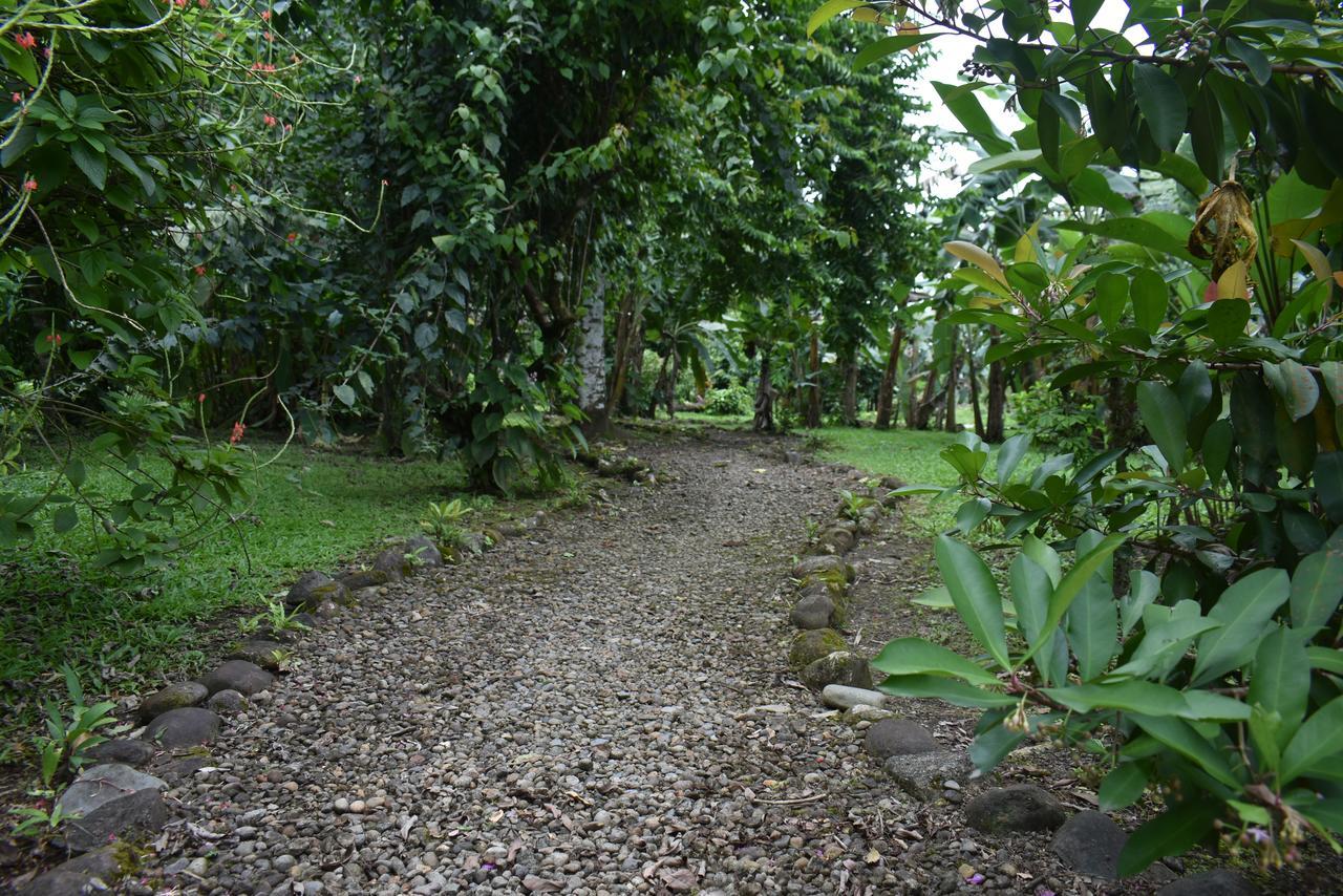 Hotel Roca Negra Del Arenal La Fortuna Екстериор снимка